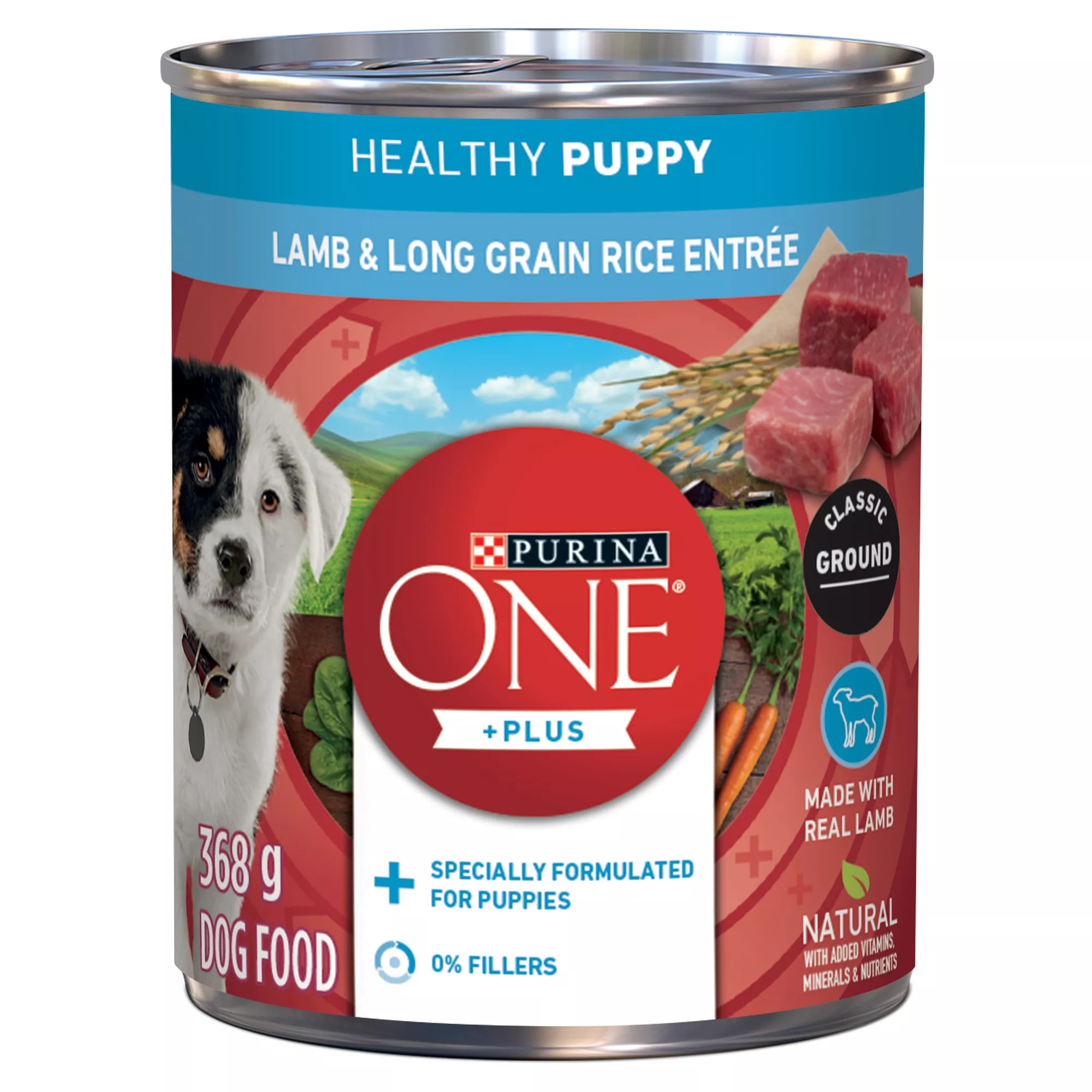 Purina ONE +Plus Healthy Puppy Wet Dog Food - Lamb & Long Grain Rice