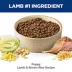 Hill's Science Diet Puppy Dry Dog Food - Lamb Meal & Brown Rice image thumbnail 4