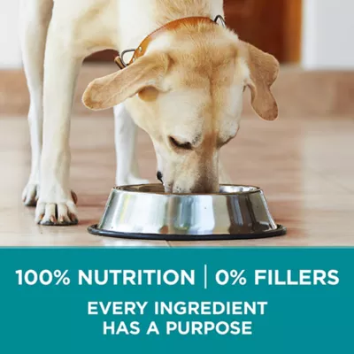 Purina ONE +Plus Large Breed Formula Dry Dog Food - Chicken - Image 4