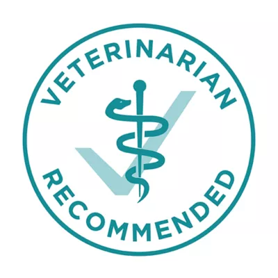 Purina ONE +Plus Large Breed Formula Dry Dog Food - Chicken - Image 5