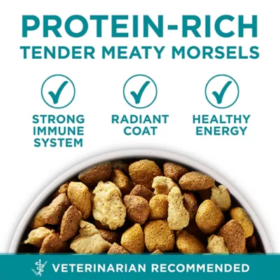 Purina ONE +Plus Large Breed Formula Dry Dog Food - Chicken - Image 6