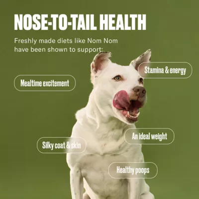 Product NOM NOM All Life Stages Frozen Dog Food - Turkey