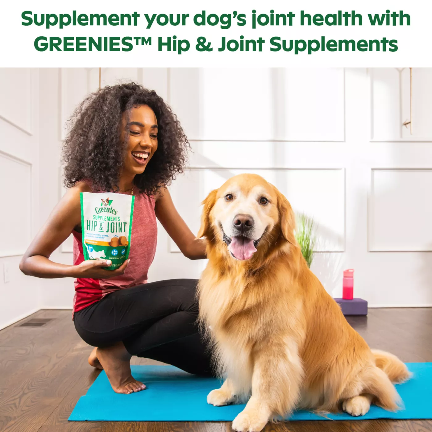 Greenies Hip and Joint Dog Supplements 30 Ct