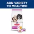 Hill's Science Diet Small & Mini Puppy Wet Dog Food - Beef & Barley Entree, 5.8 oz image thumbnail 10