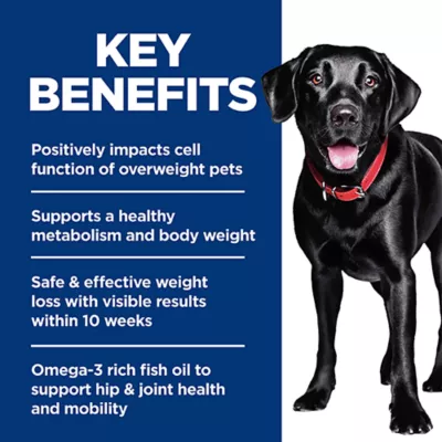 Product Hill's Science Diet Perfect Weight & Joint Support Large Breed Adult Dry Dog Food - Chicken & Rice