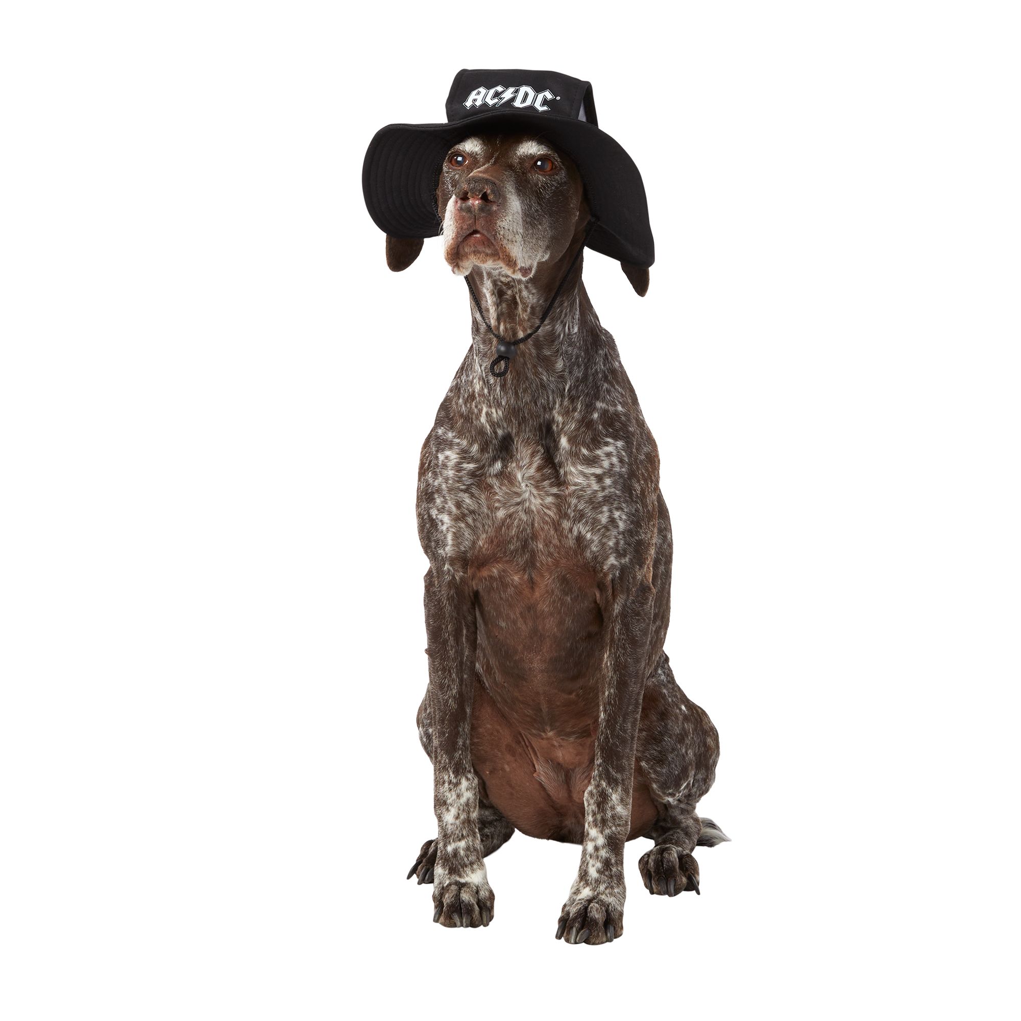 Blended Clothing AC/DC Dog Hat, dog Bandanas, Bows & Hats