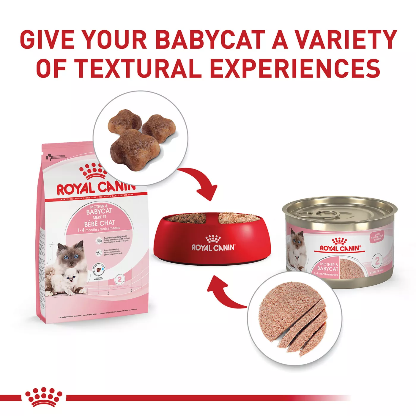 Petco royal canin cat food fashion