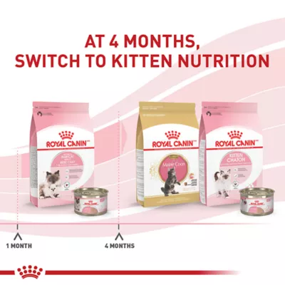 Product Royal Canin Mother & Babycat Dry Cat Food 3LB