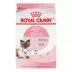 Royal Canin Dry Cat Food, Feline Health Nutrition - Mother & Babycat Queen image thumbnail 1