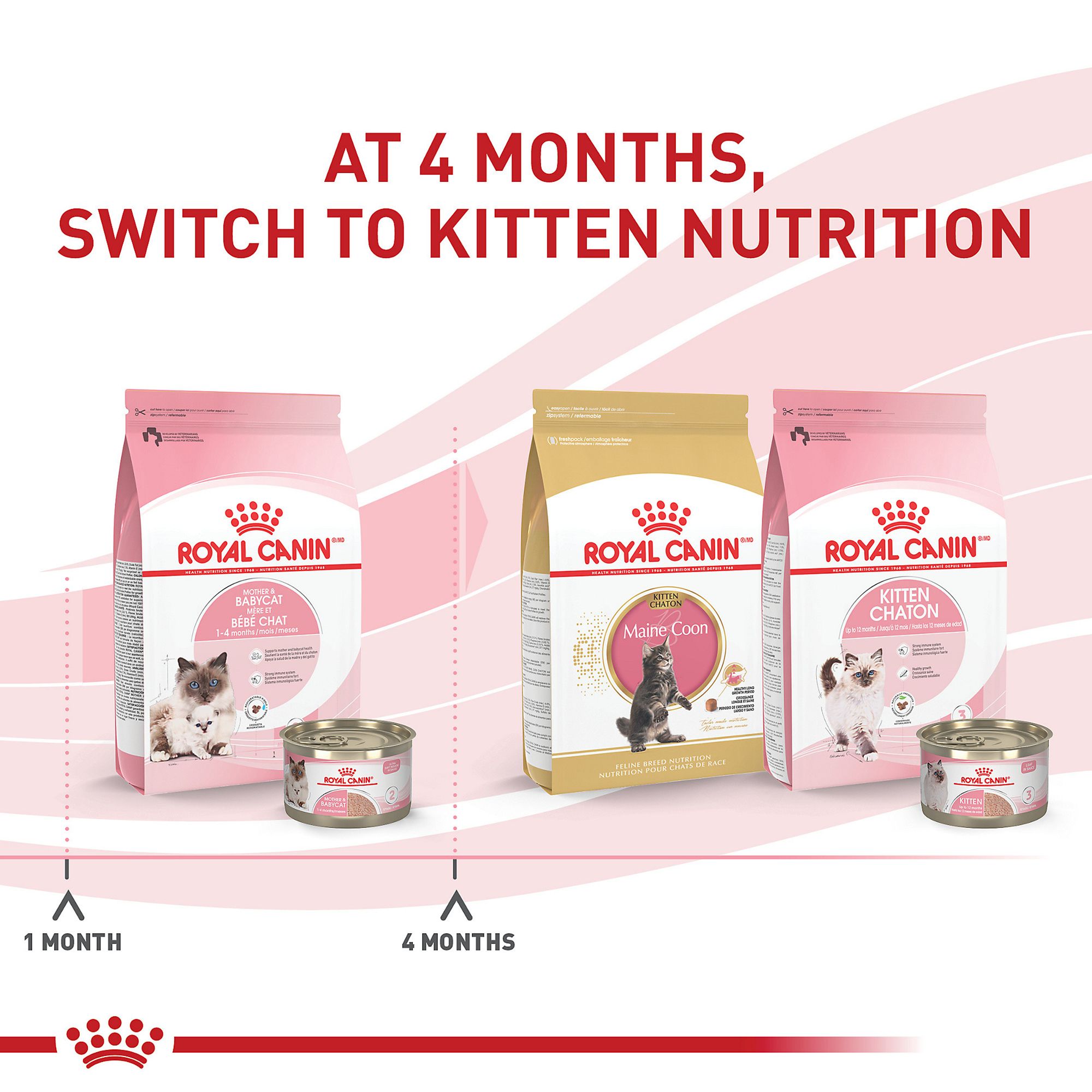 Royal Canin Mother Babycat Dry Cat Food 3LB PetSmart in Tustin CA The Market Place