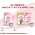 Royal Canin Dry Cat Food, Feline Health Nutrition - Mother & Babycat Queen image thumbnail 5