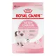 Product Royal Canin® Feline Health Nutrition Young Kitten Dry Cat Food