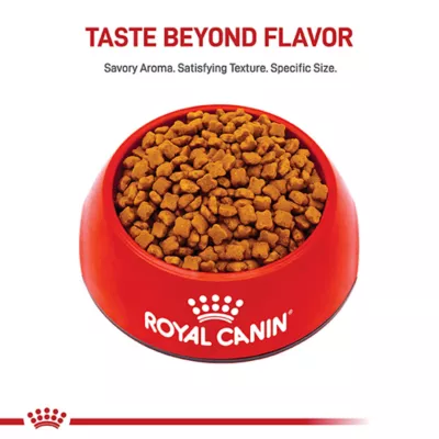 Product Royal Canin® Feline Health Nutrition Kitten Dry Cat Food