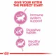 Product Royal Canin® Feline Health Nutrition Young Kitten Dry Cat Food