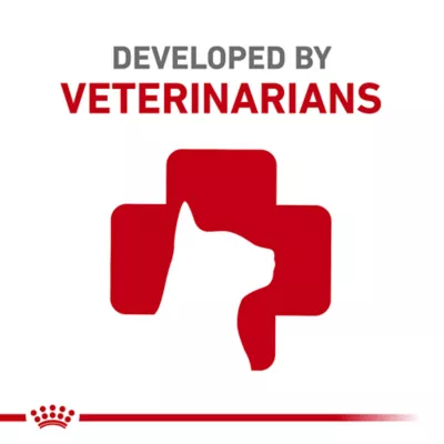 Product Royal Canin® Feline Health Nutrition Young Kitten Dry Cat Food