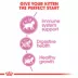 Royal Canin Feline Kitten Dry Cat Food, Health Nutrition for Kittens image thumbnail 5