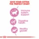 Product Royal Canin® Feline Health Nutrition Young Kitten Dry Cat Food