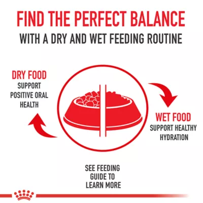 Product Royal Canin® Feline Health Nutrition Young Kitten Dry Cat Food