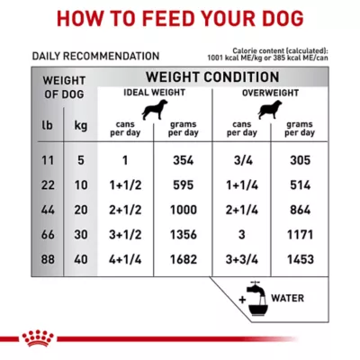 Product Royal Canin Veterinary Diet Skintopic Loaf in Sauce Adult Wet Dog Food - 13 oz