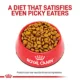 Product Royal Canin Veterinary Diet Skintopic Medium & Large Breed Adult Dry Dog Food