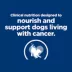 Hill's Prescription Diet ONC Care Adult & Senior Dry Dog Food - Cancer Support, Chicken image thumbnail 3