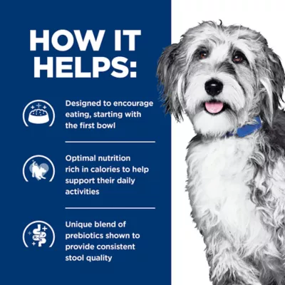 Product Hill's Prescription Diet ONC Care Adult & Senior Dry Dog Food - Cancer Support, Chicken
