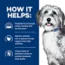 Hill's Prescription Diet ONC Care Adult & Senior Dry Dog Food - Cancer Support, Chicken image thumbnail 4