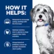 Product Hill's Prescription Diet ONC Care Adult & Senior Dry Dog Food - Cancer Support, Chicken
