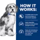 Product Hill's Prescription Diet ONC Care Adult & Senior Dry Dog Food - Cancer Support, Chicken