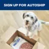 Hill's Prescription Diet ONC Care Adult & Senior Dry Dog Food - Cancer Support, Chicken image thumbnail 8