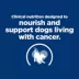 Hill's Prescription Diet ONC Care Adult & Senior Dry Dog Food - Cancer Support, Chicken image thumbnail 5