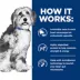 Hill's Prescription Diet ONC Care Adult & Senior Dry Dog Food - Cancer Support, Chicken image thumbnail 7