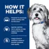 Hill's Prescription Diet ONC Care Adult & Senior Wet Dog Food - Cancer Support, 12.5 Oz. image thumbnail 5