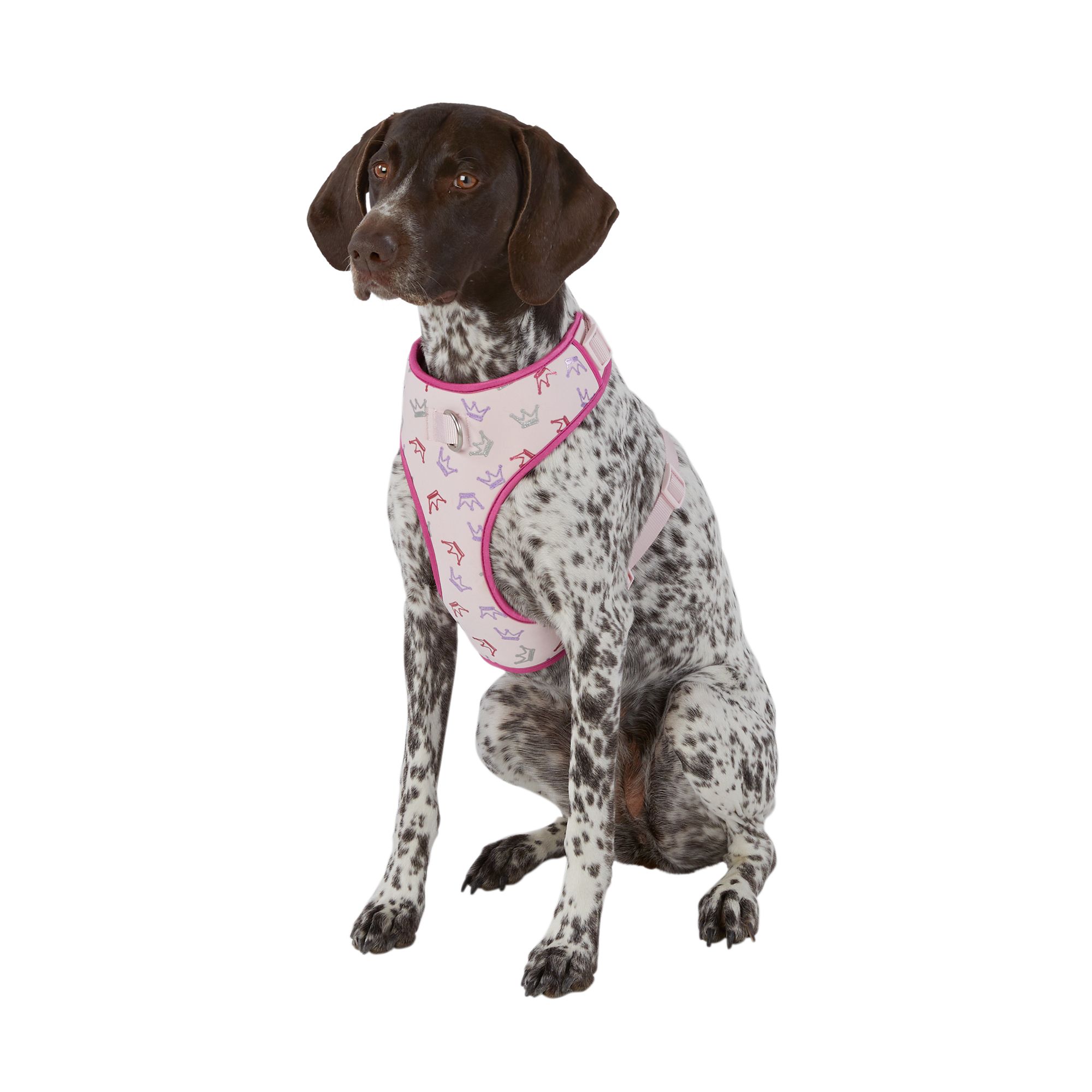 Top Paw Princess Dog Collar, Size: Medium | PetSmart