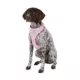 Product Top Paw® Princess Dog Harness