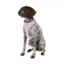 Top Paw® Princess Dog Harness image thumbnail 1