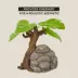 Thrive Tree with Rock and Greenery Terrarium Ornament image thumbnail 4