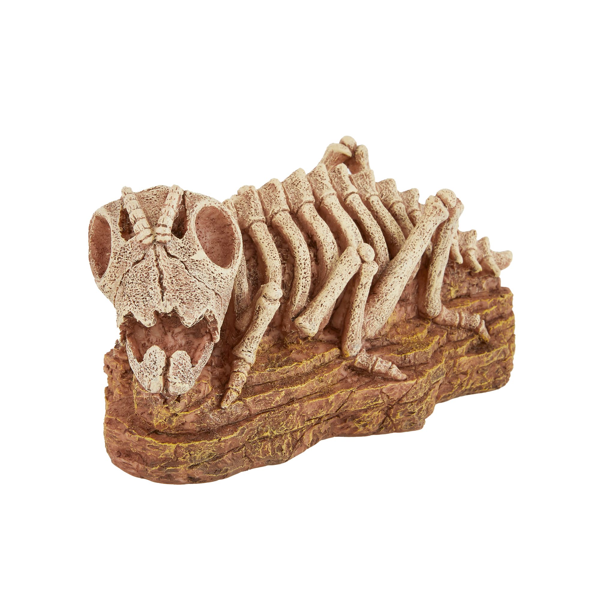 Thrive Cricket Skeleton Terrarium Decor