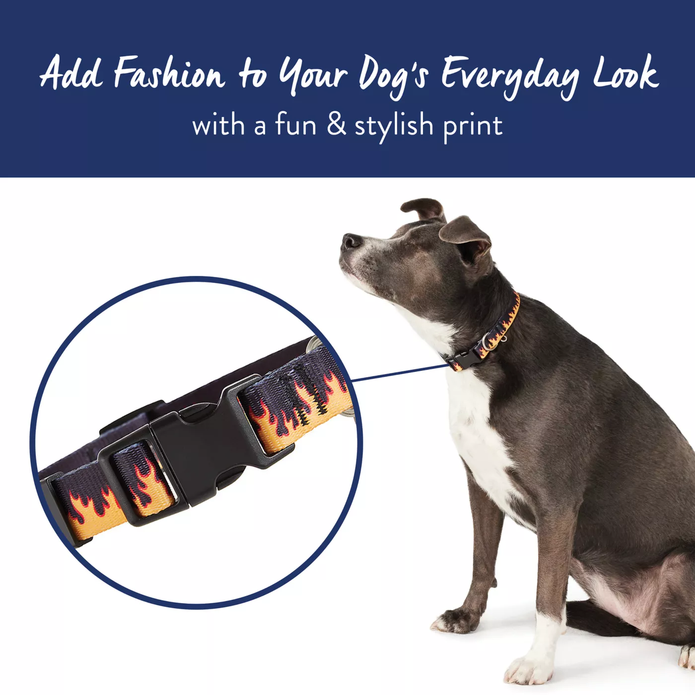 Product Top Paw® Black Flames Dog Collar