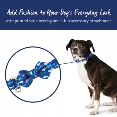 Product Top Paw® Shark Print Dog Collar