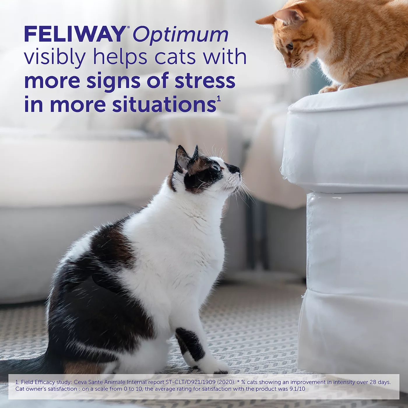 Feliway Optimum Diffuser Refill for Cats Stress Anxiety Relief