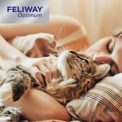 Product Feliway Optimum Diffuser Refill for Cats - Stress & Anxiety Relief