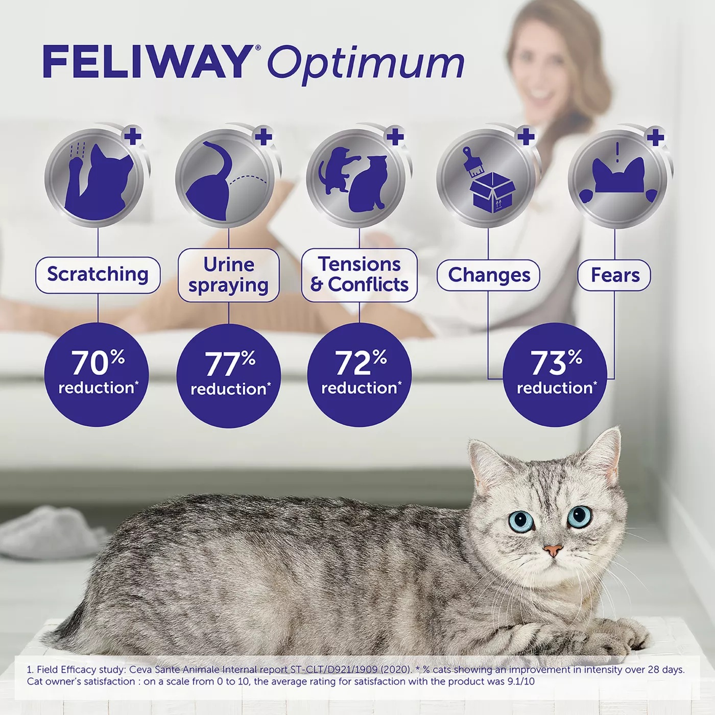 Feliway for anxious cats best sale