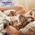 Feliway Optimum Diffuser for Cats - Stress & Anxiety Relief image thumbnail 7