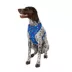 Top Paw® Bones Dog Harness image thumbnail 1