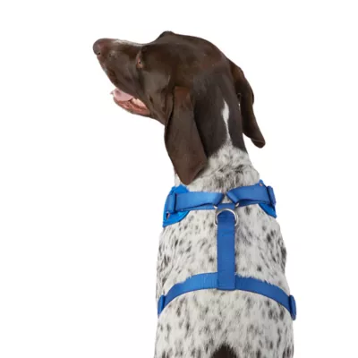 Product Top Paw® Bones Dog Harness