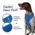 Top Paw® Bones Dog Harness image thumbnail 3