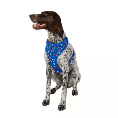 Top Paw® Bones Dog Harness - Image 1