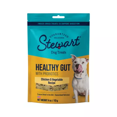 Stewart Healthy Gut Freeze Dried All Life Stage Dog Treats Chicken Vegetable