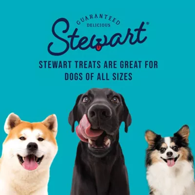 Product Stewart Healthy Gut Freeze Dried All Life Stage Dog Treats - Chicken & Vegetable